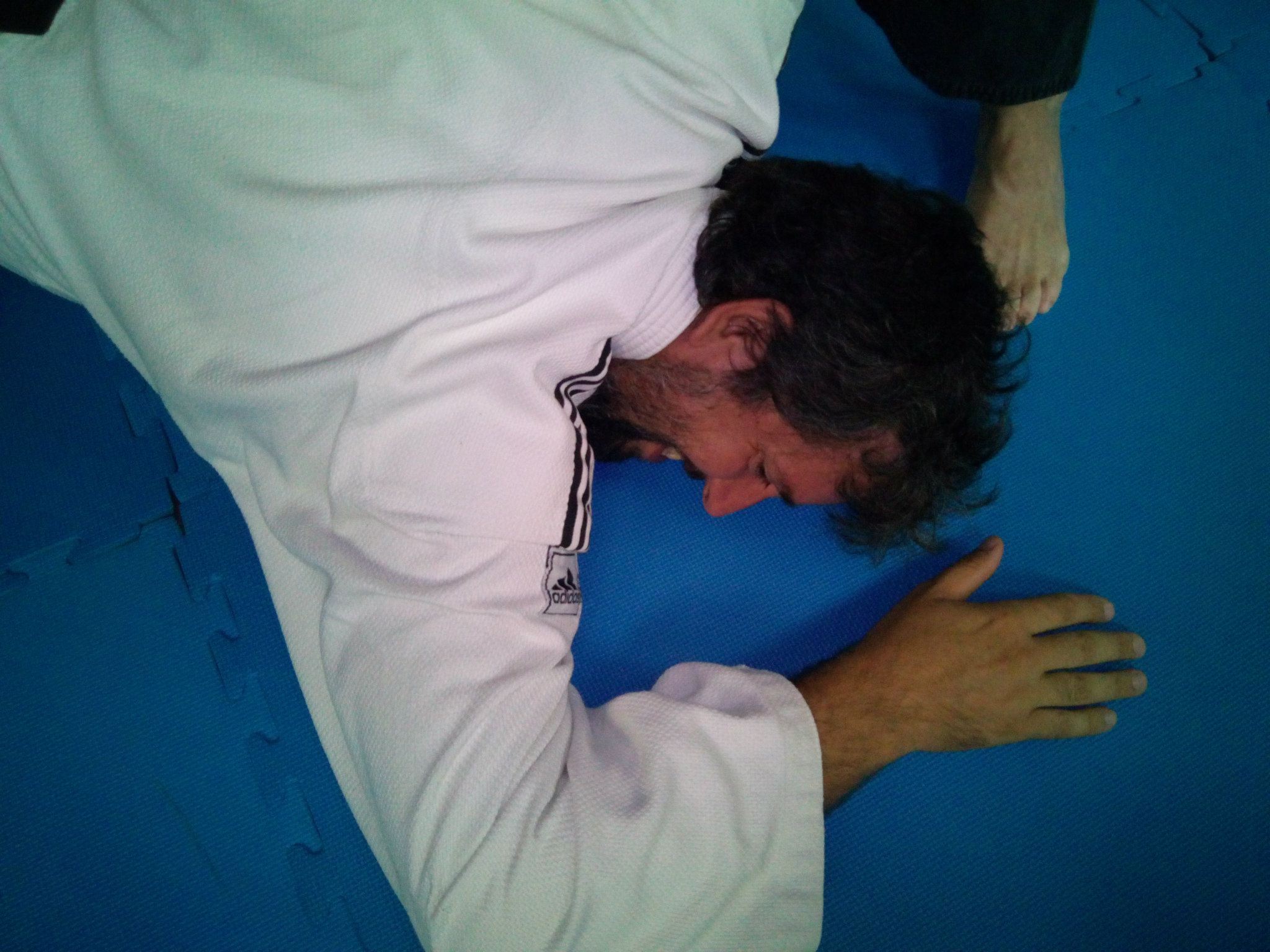 1116082_680010248679105_246273305_o